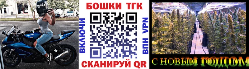 где купить наркоту Вилючинск Марихуана конопля